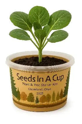 Mystery Plant Grow Kit: Surprise Plant Seeds In A CupĀ® - We Pick, You Grow!