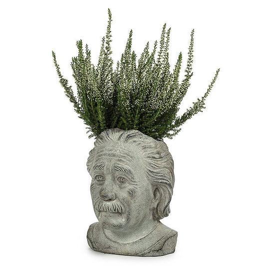 Sm Einstein Head Planter-8"H