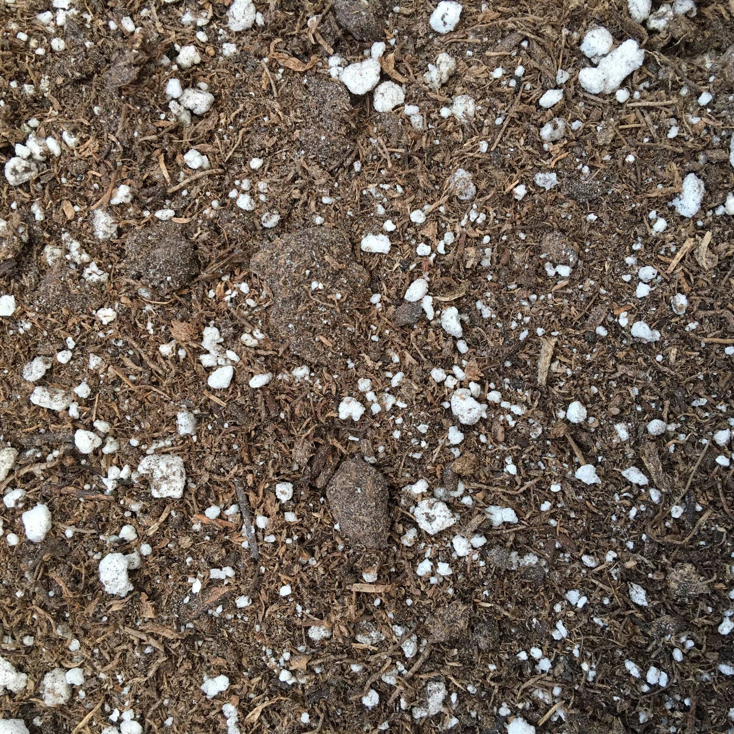 Starter Kit for 2 Large Plugs