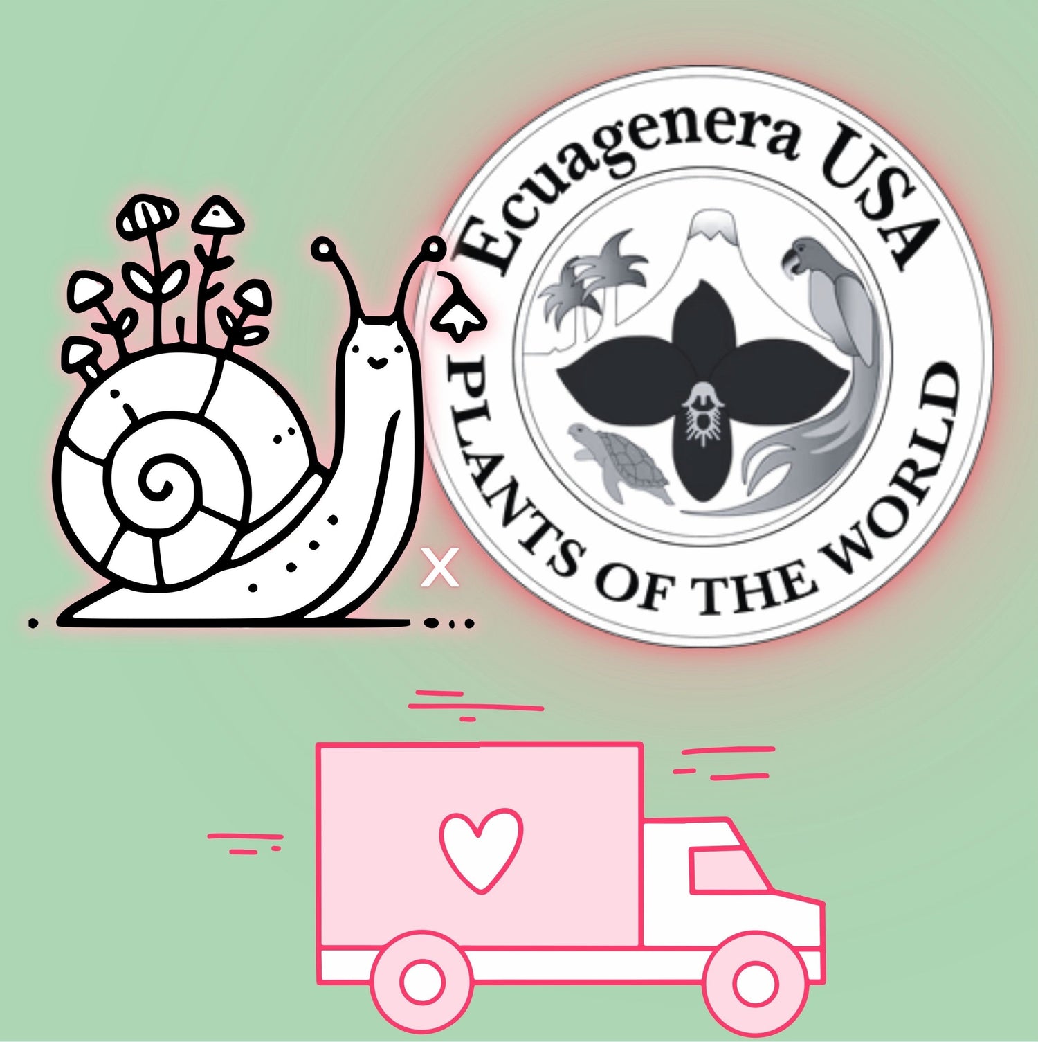 Wild Blossoms Collective x Ecuagenera USA Corp