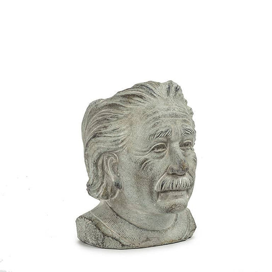 Sm Einstein Head Planter-8"H