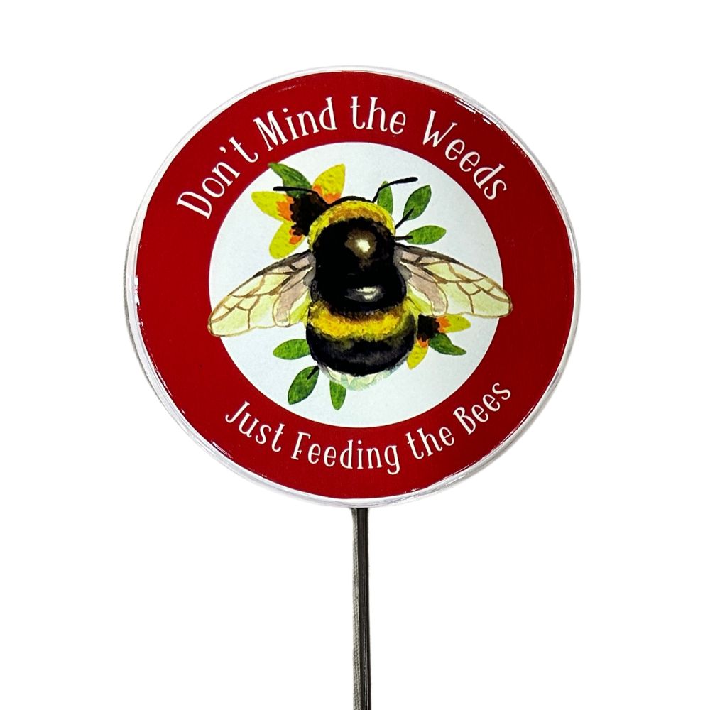 Insect Garden Stake (FEW IN STOCK)