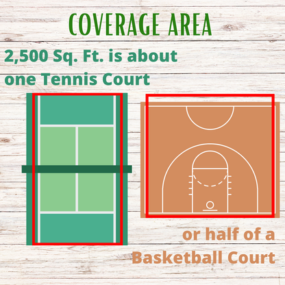 Thick Bee Lawn Seed Kit Eco-Spread Carton