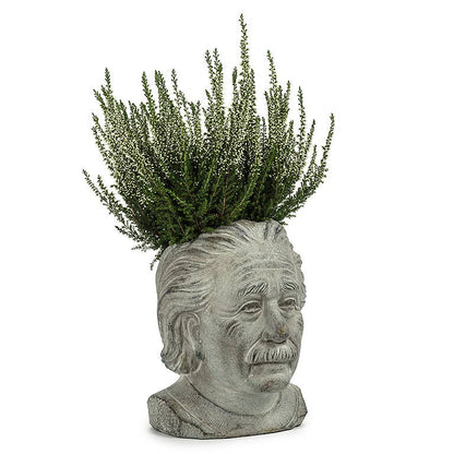 Sm Einstein Head Planter-8"H