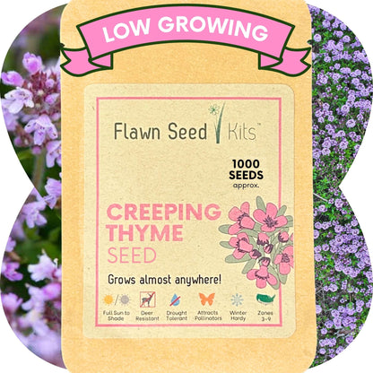 Creeping Thyme Seed Pouch