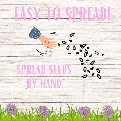 Creeping Thyme Seed Pouch