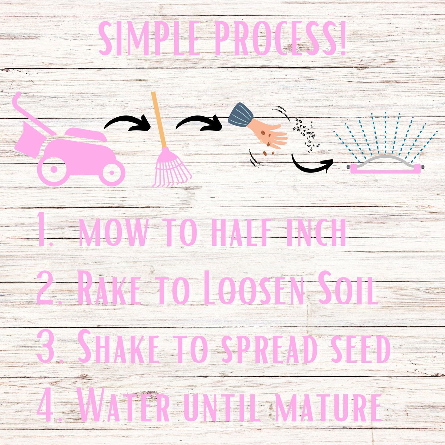 Creeping Thyme Seed Pouch