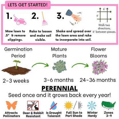 Creeping Thyme Seed Pouch