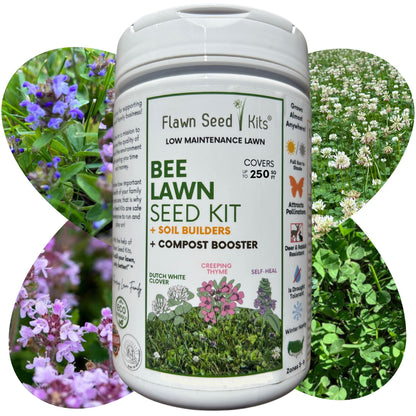 Bee Lawn Seed Kit - Easy Spread Shaker