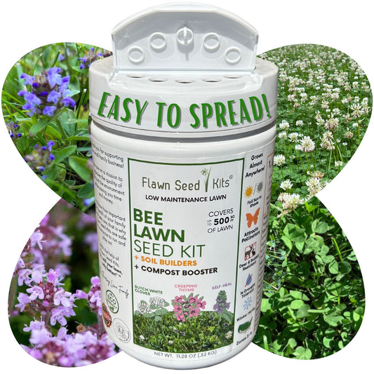 Bee Lawn Seed Kit - Easy Spread Shaker