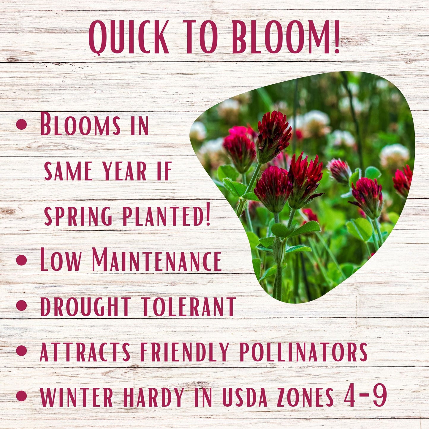 Speedy Bee Lawn Eco-Spread Carton