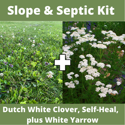 Slope and Septic System Seed Kit