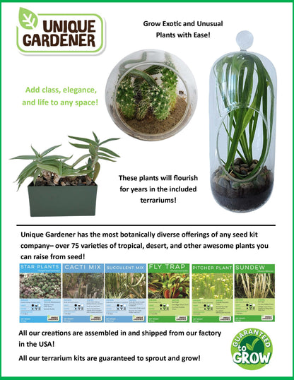 The Desert Mouse Garden Glass Terrarium with Cork