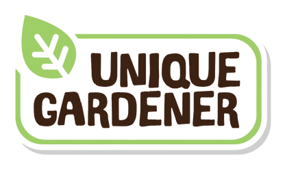 Sweet Everbearing Strawberries Sprouter Terrarium