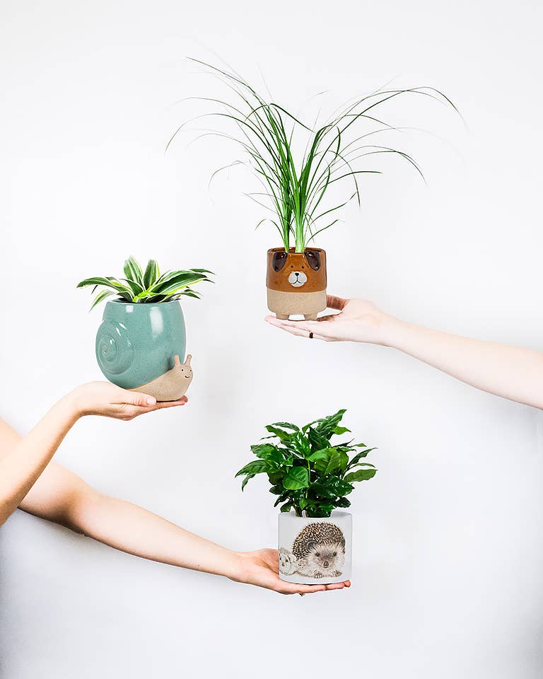 Tall Turq Snail Planter-5"H