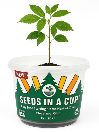 Mystery Plant Grow Kit: Surprise Plant Seeds In A Cup® - We Pick, You Grow!