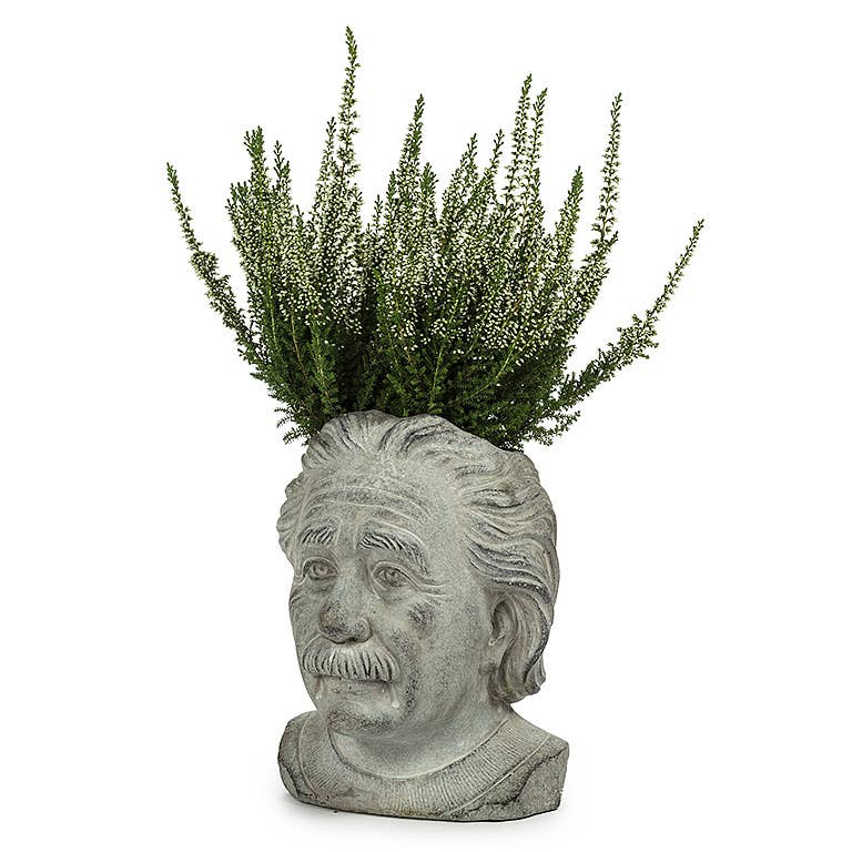 Sm Einstein Head Planter-8"H