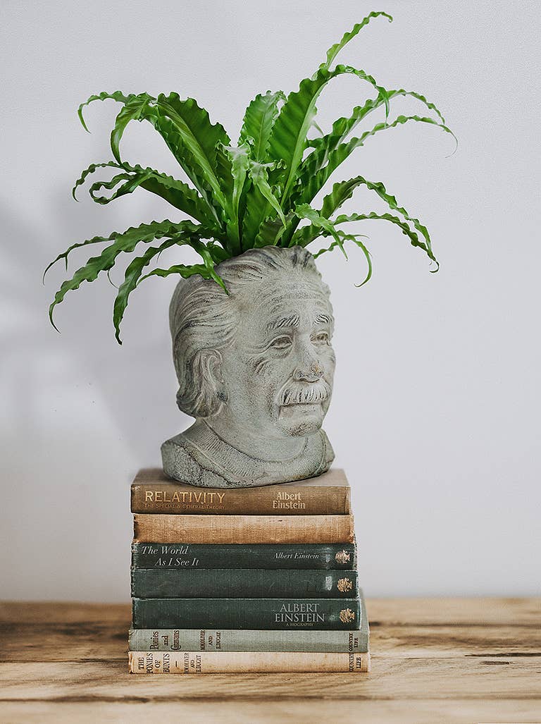 Sm Einstein Head Planter-8"H