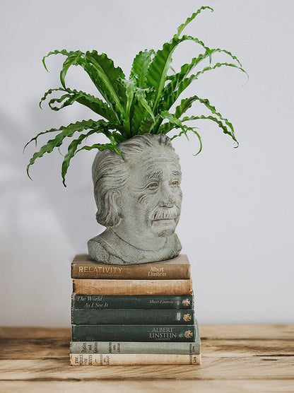 Sm Einstein Head Planter-8"H