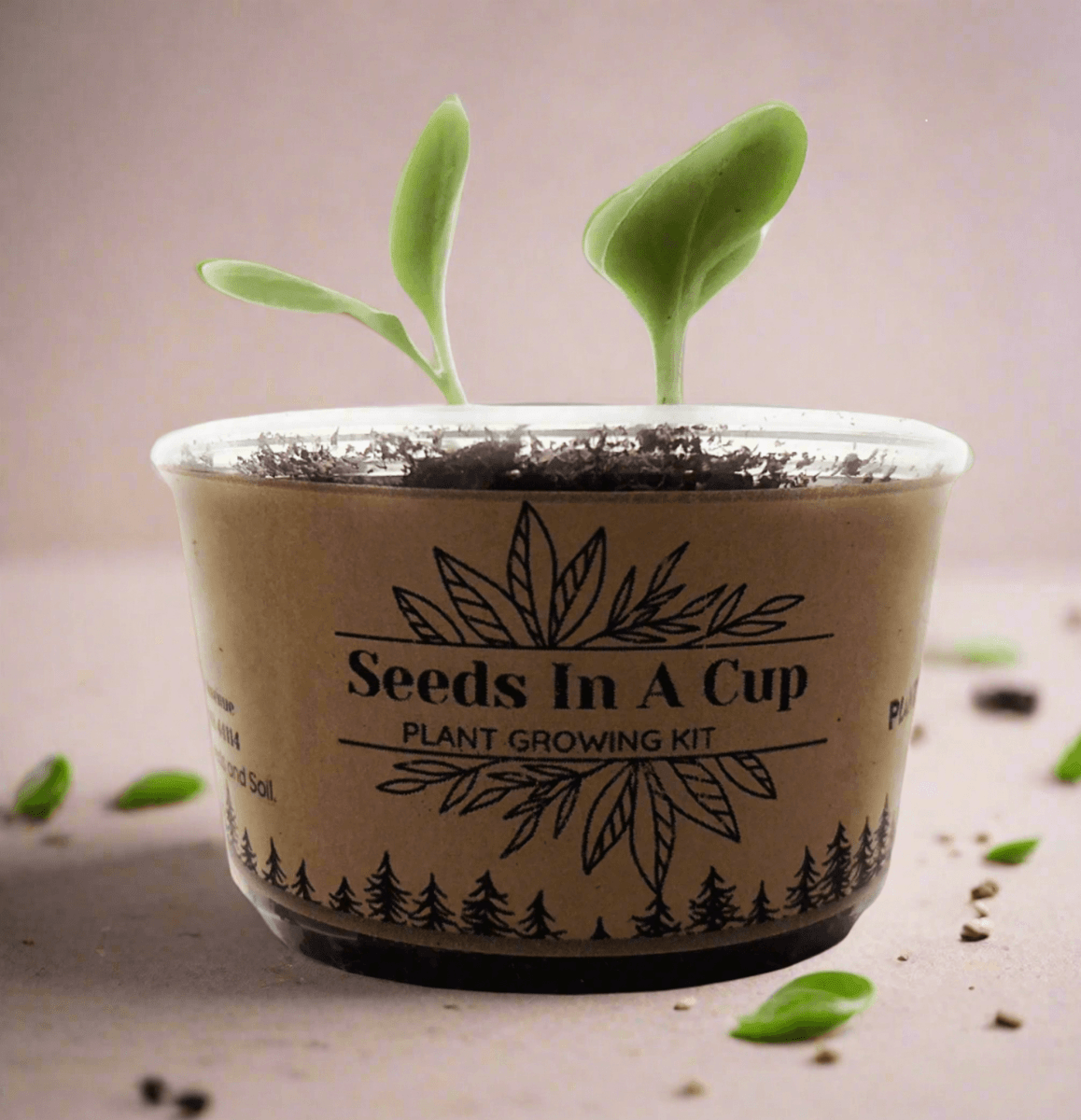 Chives | Plant Seed Grow Kit | Seeds In A Cup®