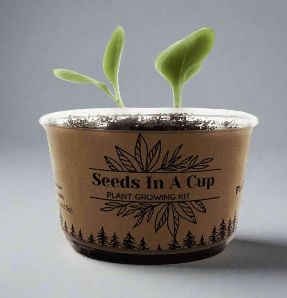 Mystery Plant Grow Kit: Surprise Plant Seeds In A Cup® - We Pick, You Grow!