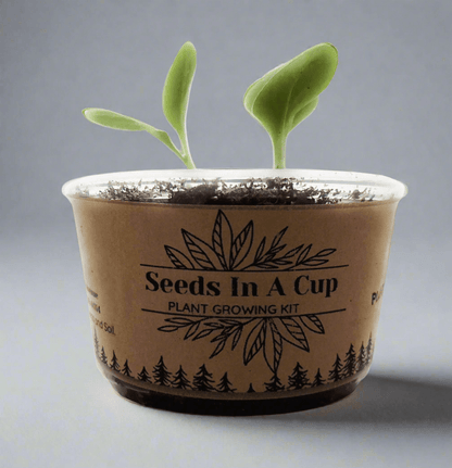 Mystery Plant Grow Kit: Surprise Plant Seeds In A Cup® - We Pick, You Grow!