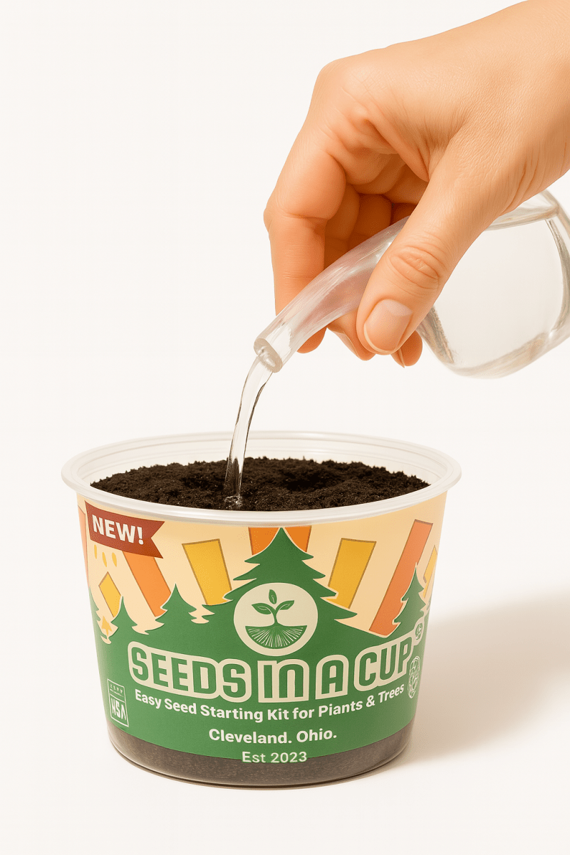 Chives | Plant Seed Grow Kit | Seeds In A Cup®