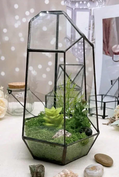 Modern Black Geometric Glass Terrarium