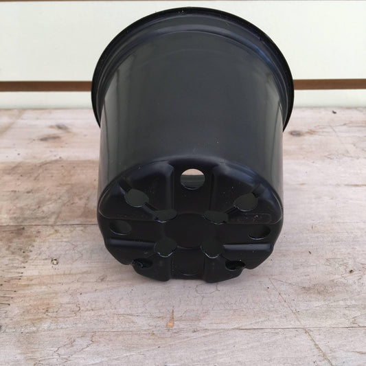 Starter Kit for 2 Large Plugs