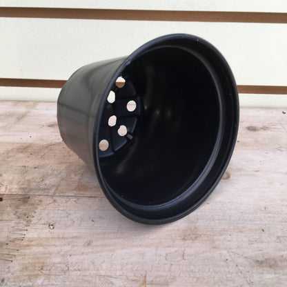 Starter Kit for 2 Large Plugs