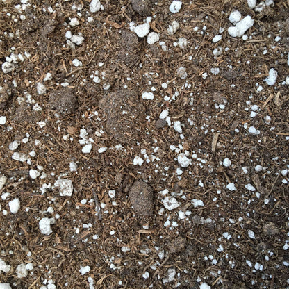 Starter Kit for 5 Small Plugs