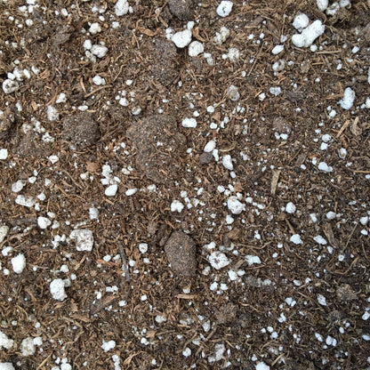 Starter Kit for Large Cuttings (2 Pots)